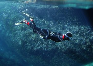 Snorkelling