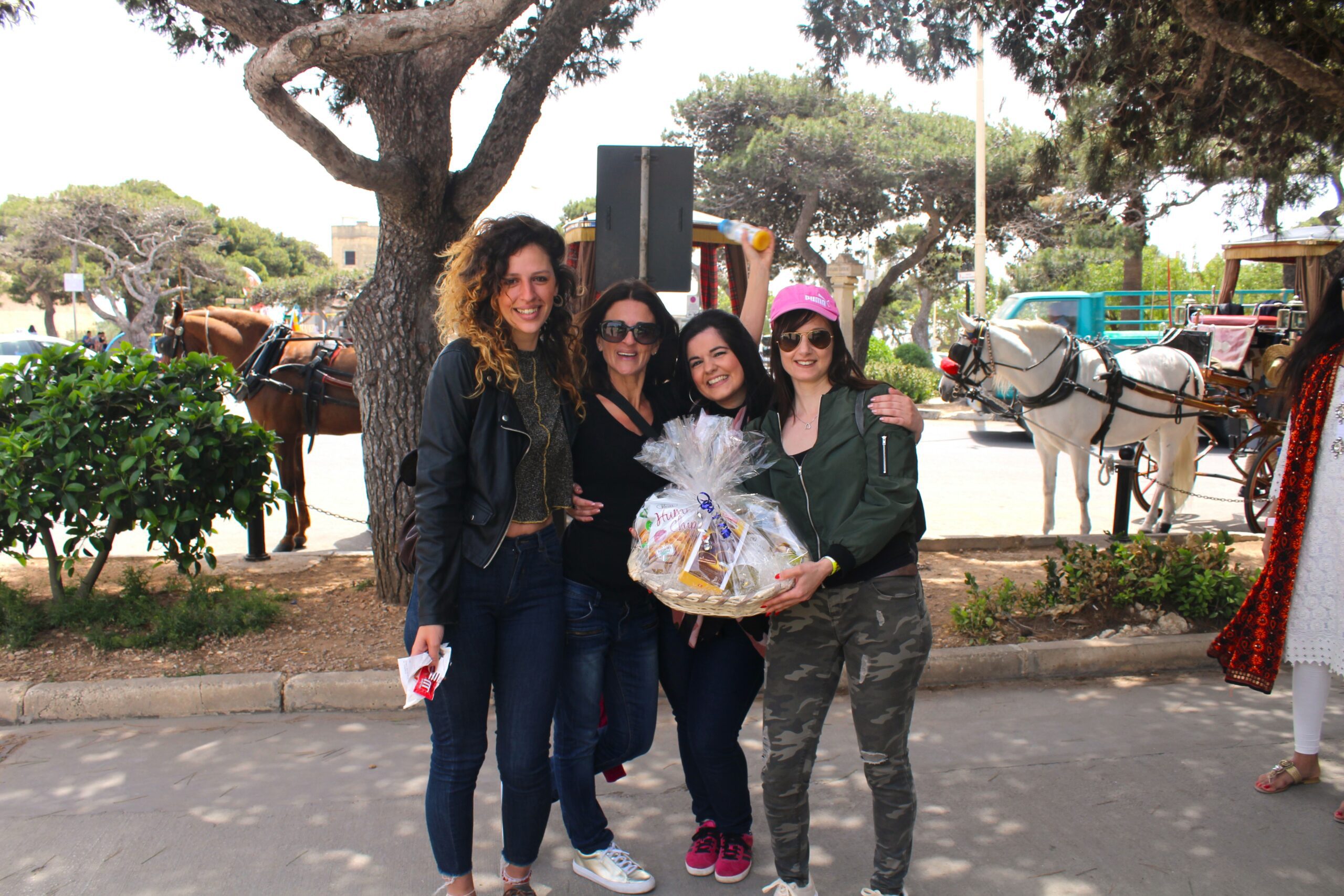 Mdina TH zzz