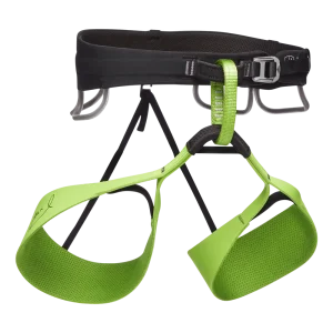 Harness