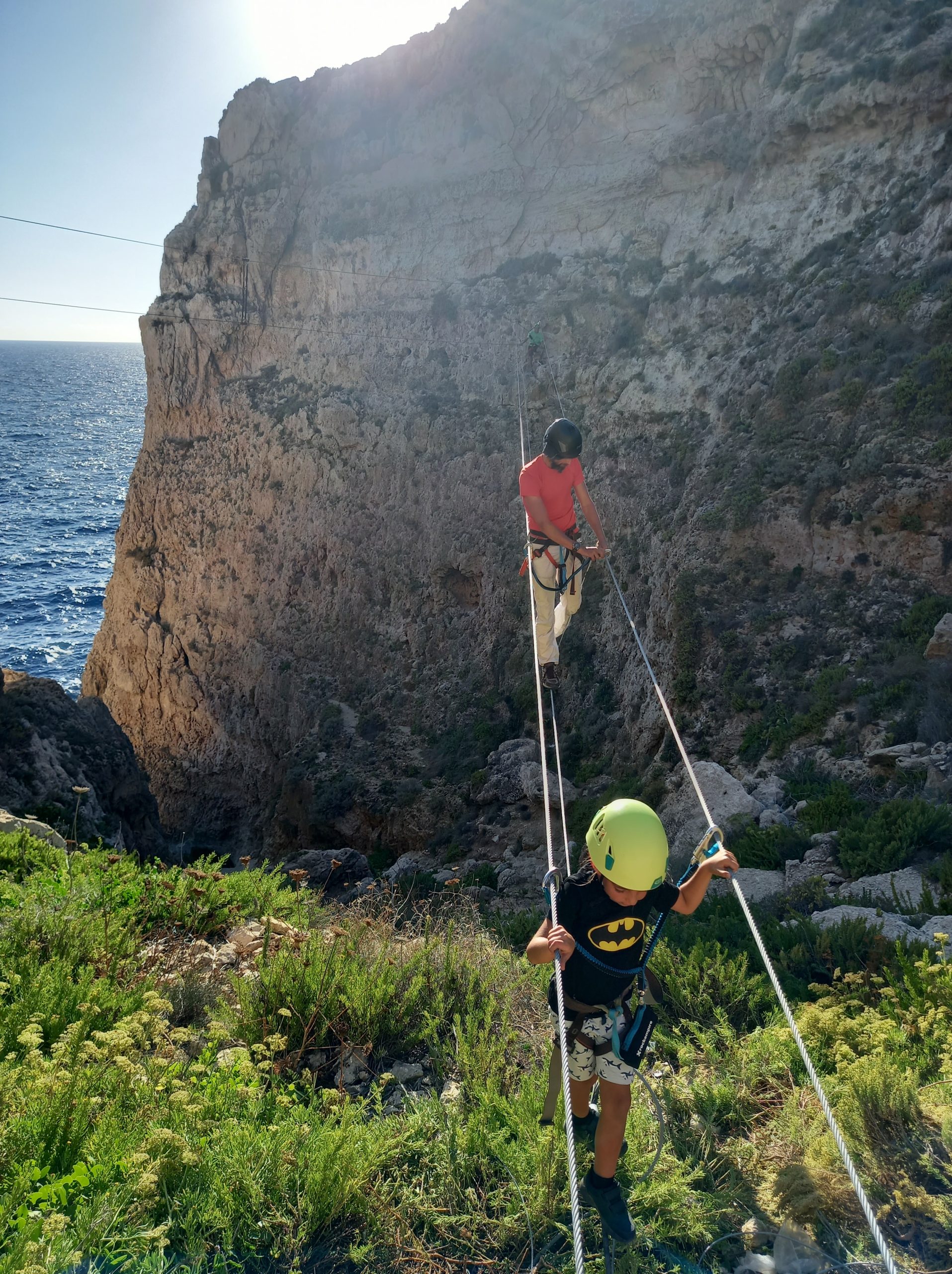 Monkey Bridge 6