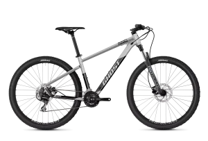 MTB GOLD BIKE